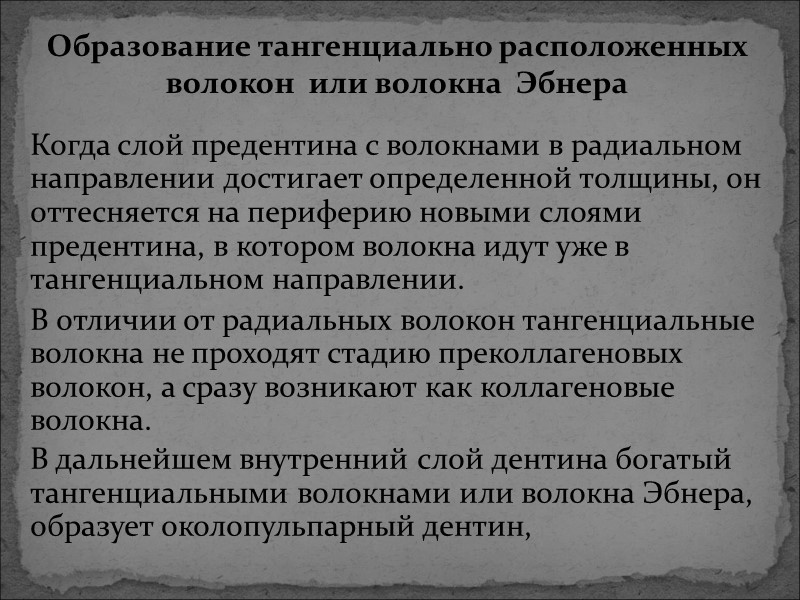 Когда слой предентина с волокнами в радиальном направлении достигает определенной толщины, он оттесняется на